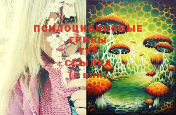 COCAINE Белокуриха