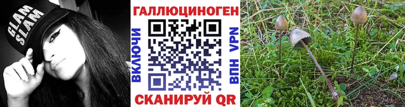купить наркотики сайты  Горно-Алтайск  Галлюциногенные грибы ЛСД 