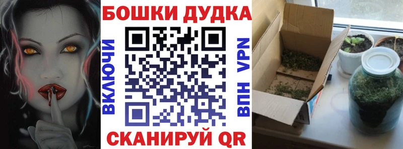 Бошки Шишки Amnesia  мега ссылки  Горно-Алтайск 